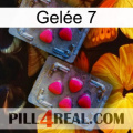Gelée 7 14